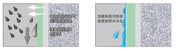 香港六盒宝典资料大全