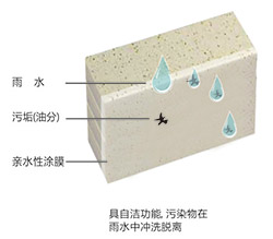 香港六盒宝典资料大全